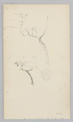 Árbol