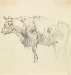 Un toro