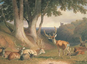 Paisaje con ciervos, c.1800 (lápiz y acuarela sobre papel)