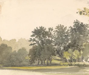 Paisaje con árboles