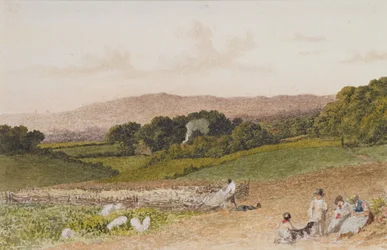 El campo de nabos