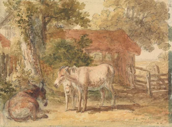 Tres burros