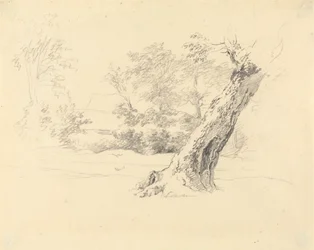 Estudio de árboles