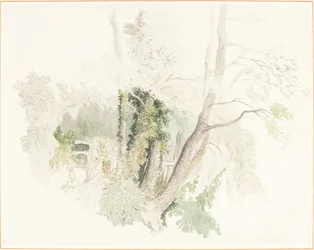 Árboles en Beddington