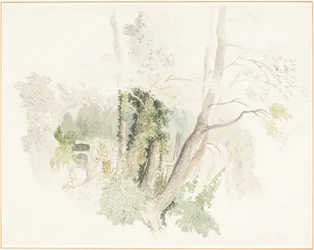 Árboles en Beddington