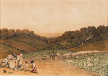 Campo de nabos
