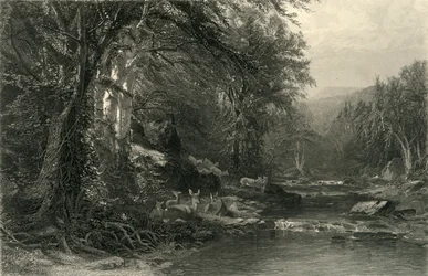 Los Bosques Adirondack, 1874
