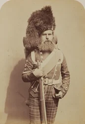 Sargento de Color Taylor, 72º Regimiento de Infantería (Propios de Duke of Albany