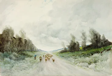 Un camino de Northumberland