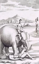 Una ejecución por un elefante, pub. 1681