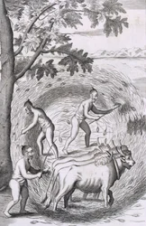 La manera de trillar su arroz, de Una relación histórica de la isla de Ceilán, pub. 1681
