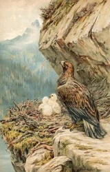 Niños de la Montaña