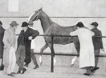 Comerciantes de caballos (Ward