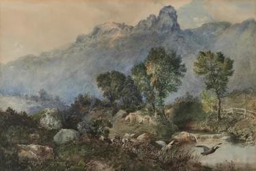 Paisaje con patos reales