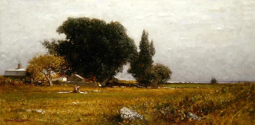 Árboles y pradera