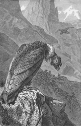 El Cóndor, c1885, 1890