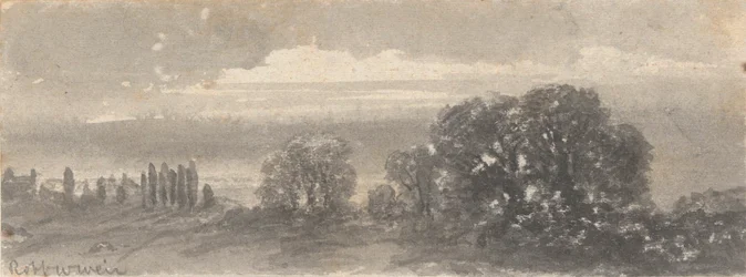 Paisaje - Arboles