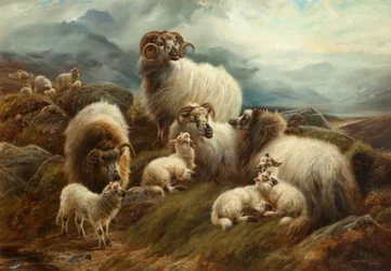 Ovejas en un paisaje, 1894