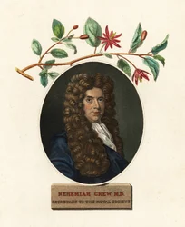 Retrato de Nehemiah Grew, médico y botánico.1809 (grabado)