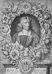 Robert Morison