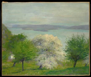 Flor de Manzano, 1903