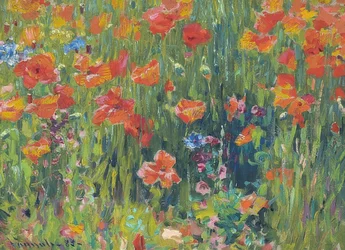 Amapolas
