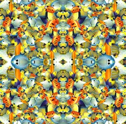 Azulejo de peces de caleidoscopio