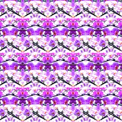 Repetición de Orquídea Púrpura