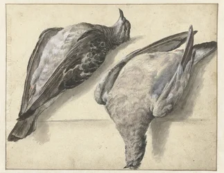 Dos palomas muertas