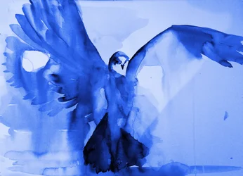 El vuelo de la paloma azul