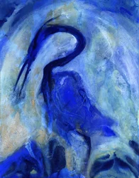 Elegante garza azul