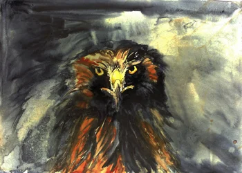 La mirada feroz del águila