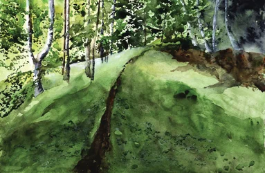 Sendero por un frondoso bosque