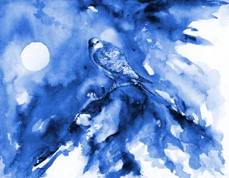 Halcón azul a la luz de la luna