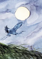 Vuelo de garzas a la luz de la luna