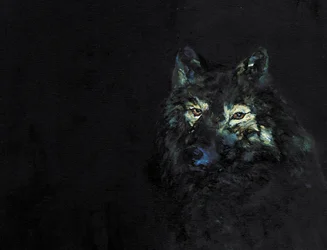 Misterioso lobo negro