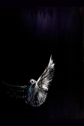 El vuelo nocturno del búho