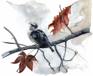 Pájaro de otoño en paz