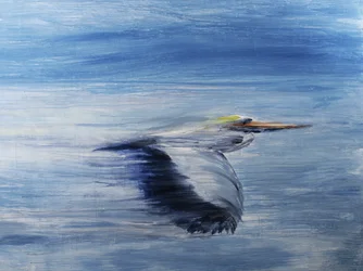 Vuelo sereno de las aves