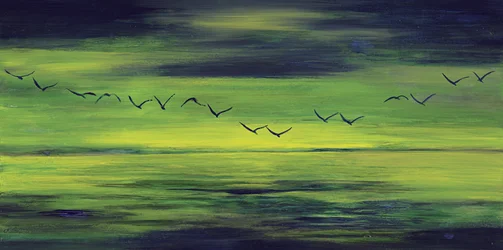 Vuelo verde y sereno