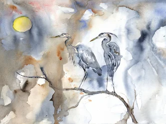 Garzas serenas a la luz de la luna