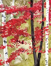 Un bosque otoñal lleno de colorido