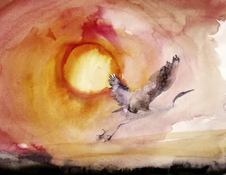 Pájaro vibrante al atardecer
