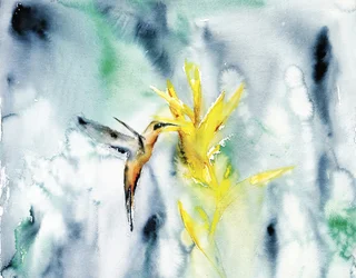 Flor vibrante del colibrí
