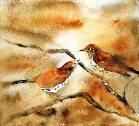 Aves en una rama, pintadas en acuarela