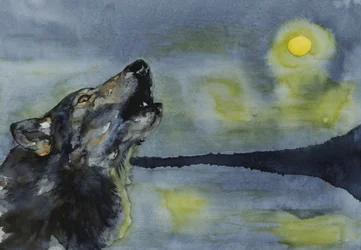 Un lobo aullando a la luna