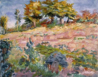 Paisaje, c.1910