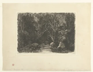 Paisaje forestal con un arroyo y árboles en voladizo
Le Ruisseau sous bois