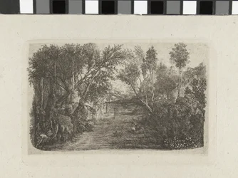 Paisaje con arroyo y árboles en las orillas
El curso de agua