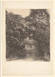 Paisaje rocoso con arroyo y cascada
El regalo